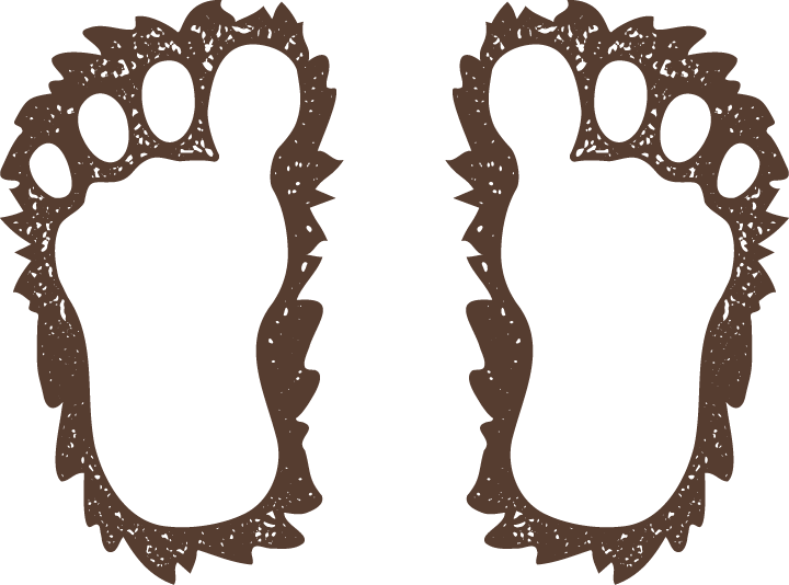 Big foot feet stamp