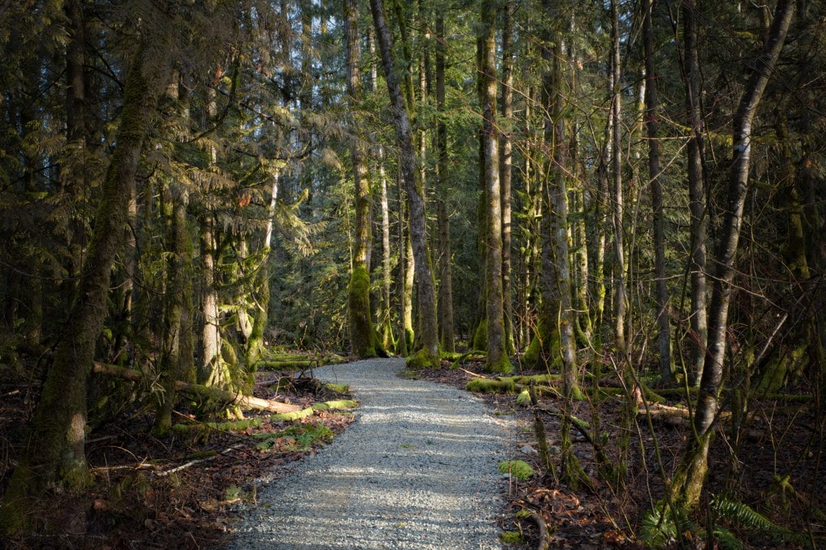 gravel trail with trees photo credit jeff maron