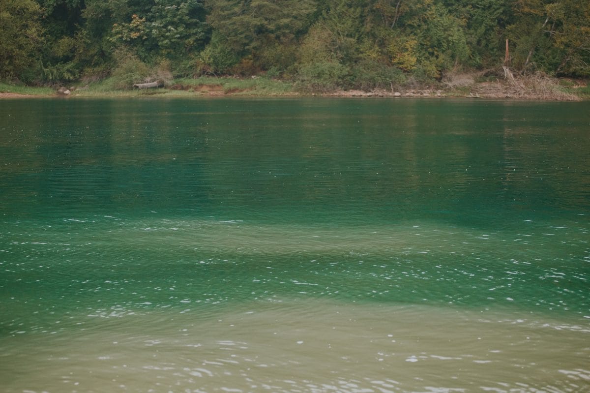 The blue-green of the Harrison River mixing with the milky colour of the Fraser River at the confluence.