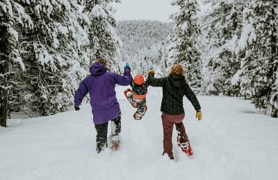 Coversnowshoe