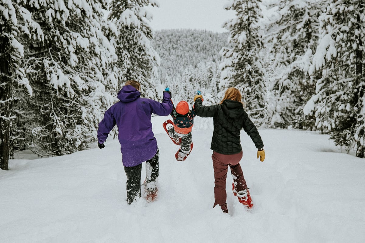 Coversnowshoe